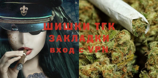 Альфа ПВП Аркадак