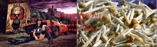 метадон Лихославль