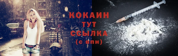 ешки Арсеньев